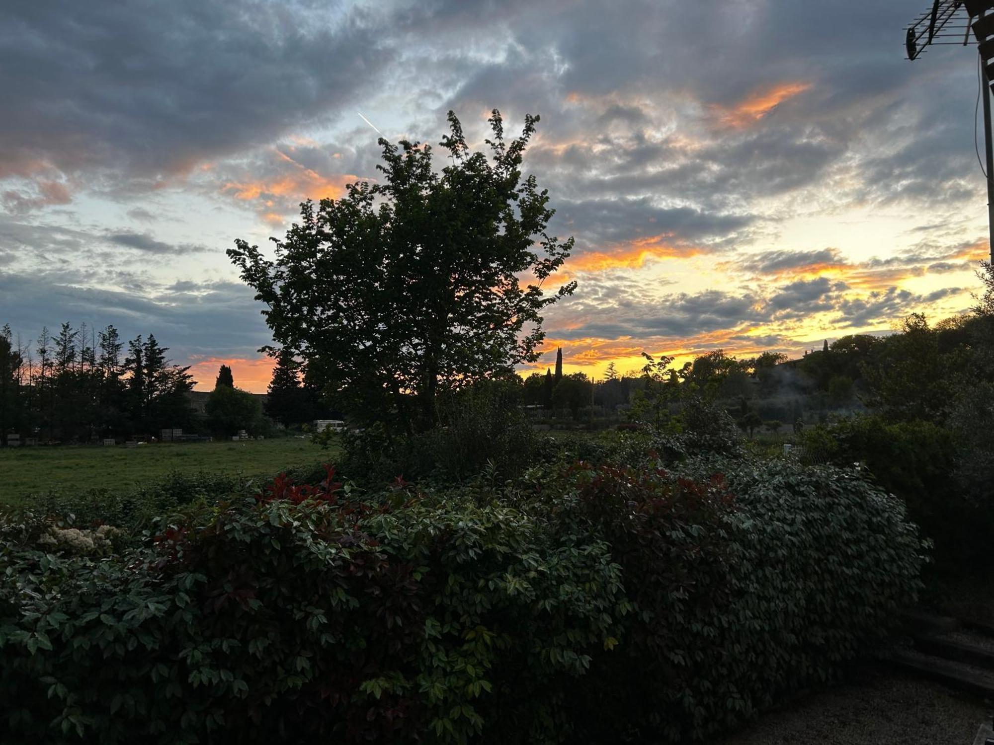 Le Clos Des Vignes